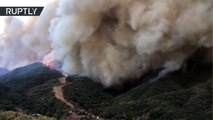 Imágenes apocalípticas de incendios forestales en California