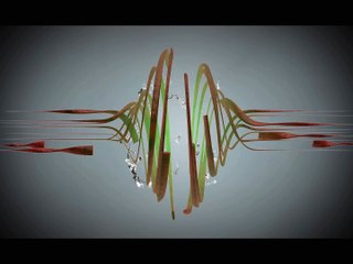 Внутриутробное развитие ребёнка. Все этапы беременности