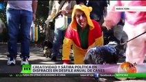 Creatividad y sátira política en el 'carnaval' anual de perros