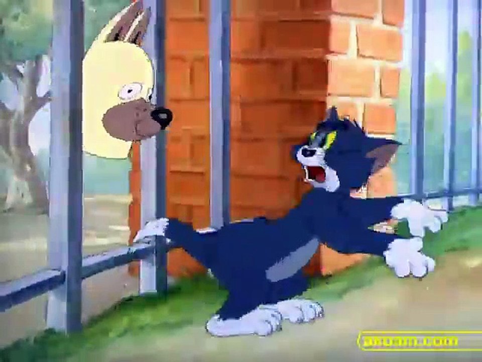 Puttin' on the Dog