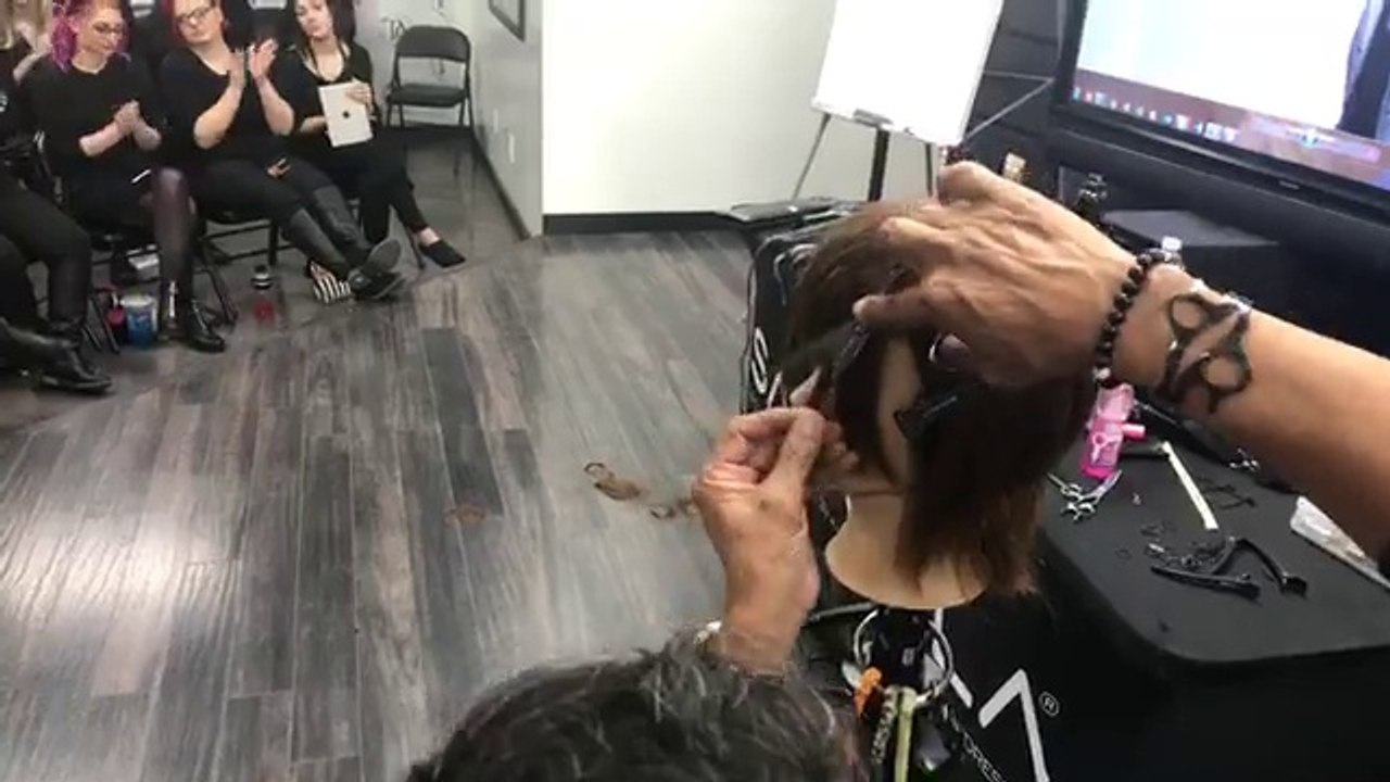 How to cut a Layered Bob Haircut Tutorial