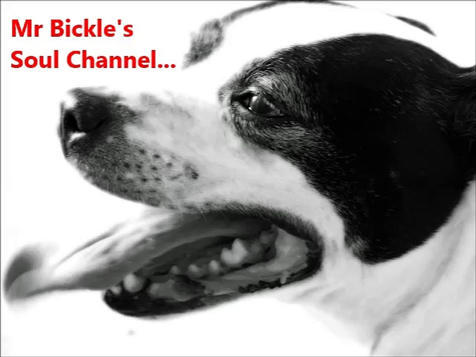 Zushii - There Ain't Enough Love