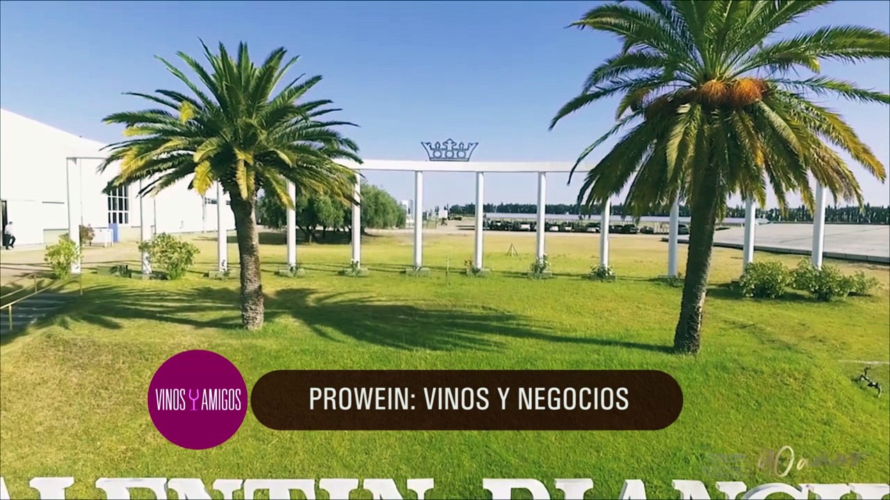 Vinos y Amigos Programa 189 Bloque 1