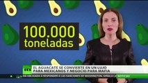 Oro verde: El aguacate es un lujo para mexicanos y un negocio para la mafia