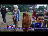 Komunitas Sleman Owl, Mengajarkan Edukasi Tentang Keunikan Burung Hantu - NET12