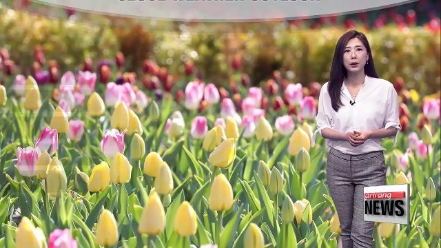 Cold morning turns mild along with high levels of fine dust _ 040918