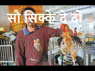 सौ सिक्के दे दो  Sou SIkke De Do