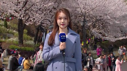[날씨] 제자리 찾은 봄, 서울 13.5℃...내일 밤 중부 비 / YTN