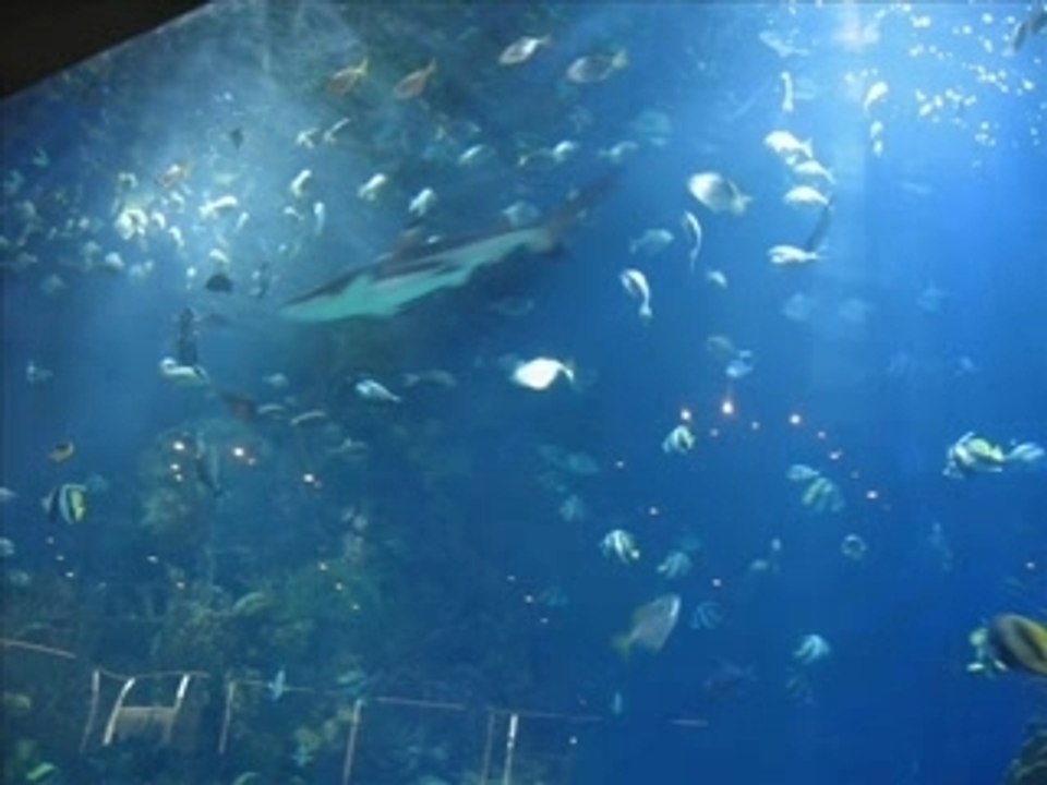 Mes vacances en Espagne