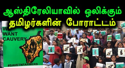 காவிரி, ஸ்டெர்லைட் பிரச்சினை, ஆஸ்திரேலியா வாழ் தமிழர்கள் போராட்டம்