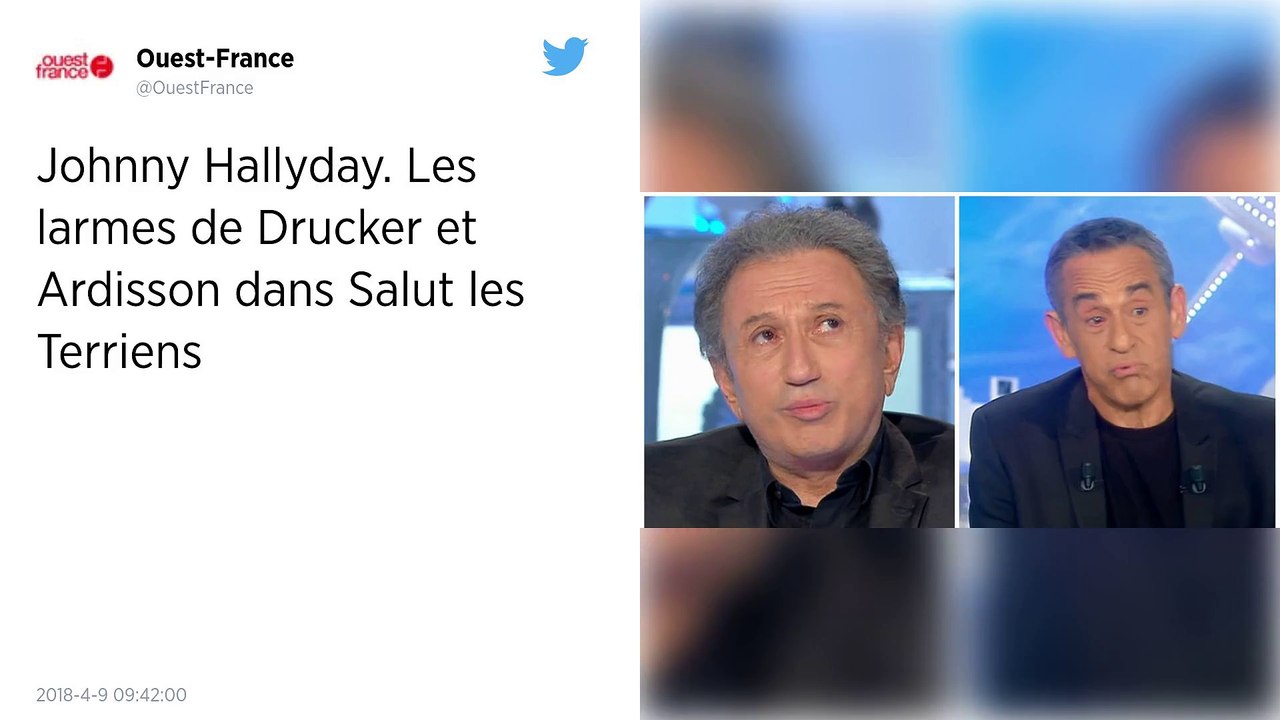 Johnny Hallyday. Les larmes de Drucker et Ardisson dans Salut les Terriens.
