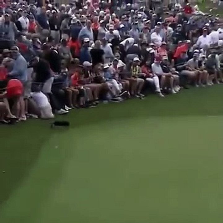 Crazy