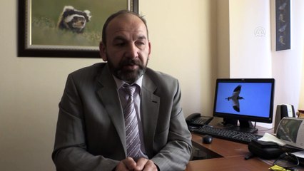 Türkiye'de görüntülenen kuş türü sayısı arttı - NİĞDE