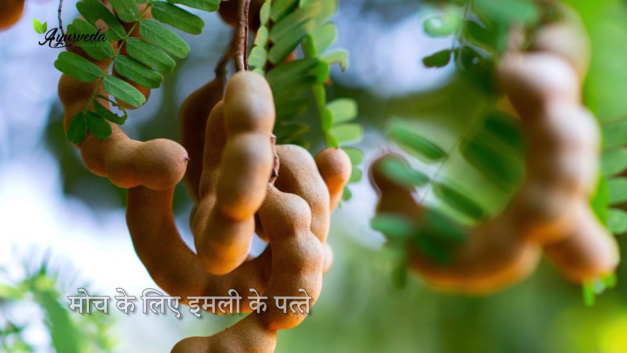 कभी भी आये कैसी भी मोच,अपनायें ये घरेलु नुस्खा - Ayurveda   The Science Of life