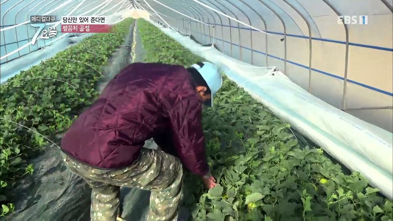 메디컬 다큐 7요일 - 당신만 있다면- 팔꿈치 골절 외_#003