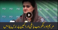 Marriyum Aurangzeb lashes at party defectors, disgruntled leaders