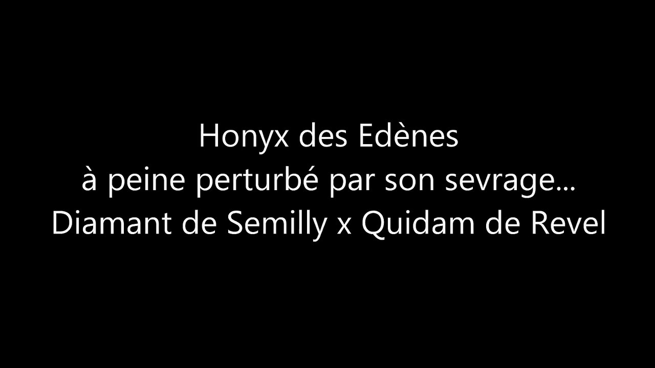 honyx sevrage