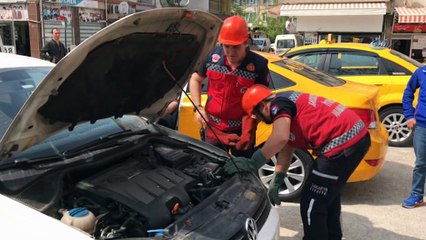 Motor kısmında yılan gören sürücü 1 hafta otomobiline binemedi