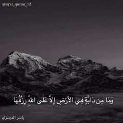 ياسر الدوسري - و ما من دابة في الأرض إلا على الله رزقها