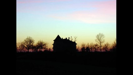 Chauves-souris  Halloween