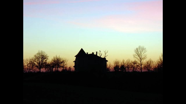 Chauves-souris Halloween