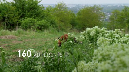 Clip de lancement de l'ARB îdF