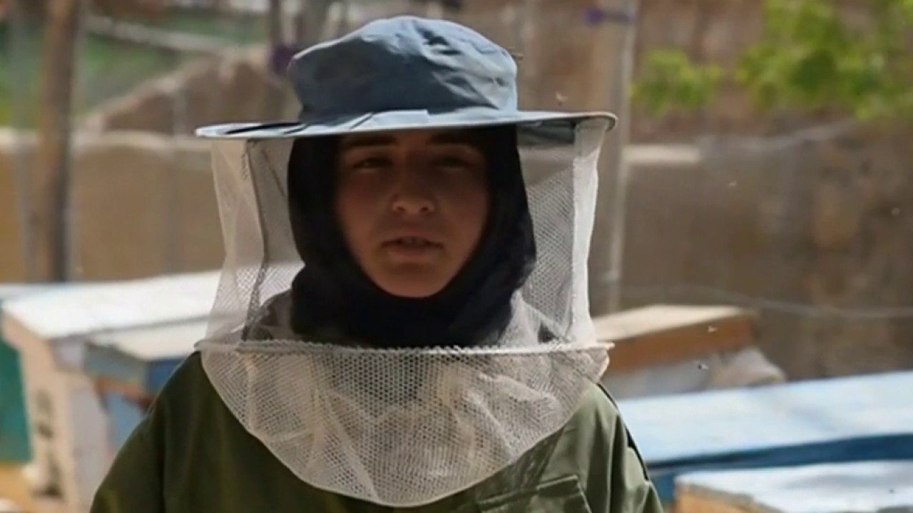 Afghan Beekeeper Taps Into Female Empowerment