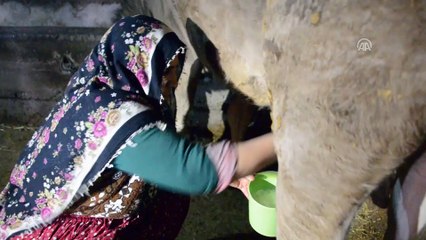 Çiftçi kadın kursiyere özel servis aracı - SİVAS