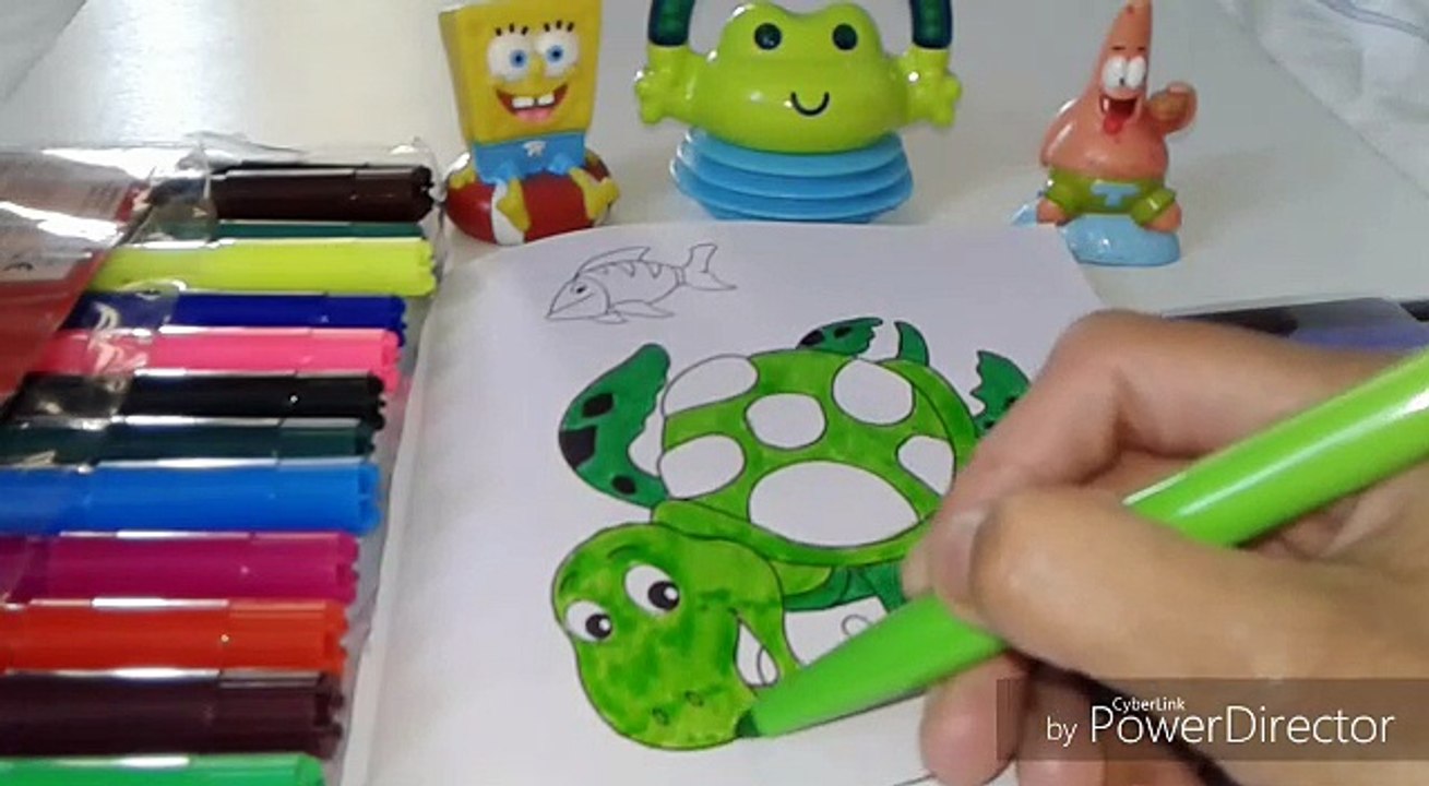 HOW TO COLOR TORTOISE WITH GLITTER AND COLOR VIDEO