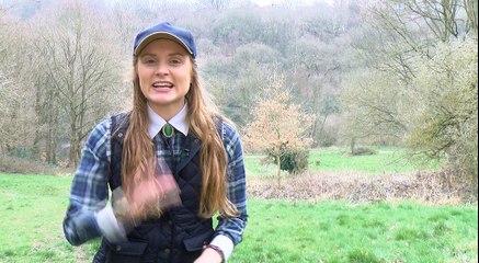 WEATHER: Your latest weather update