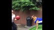 Ce chien est meilleur que vous au basket. Incroyable