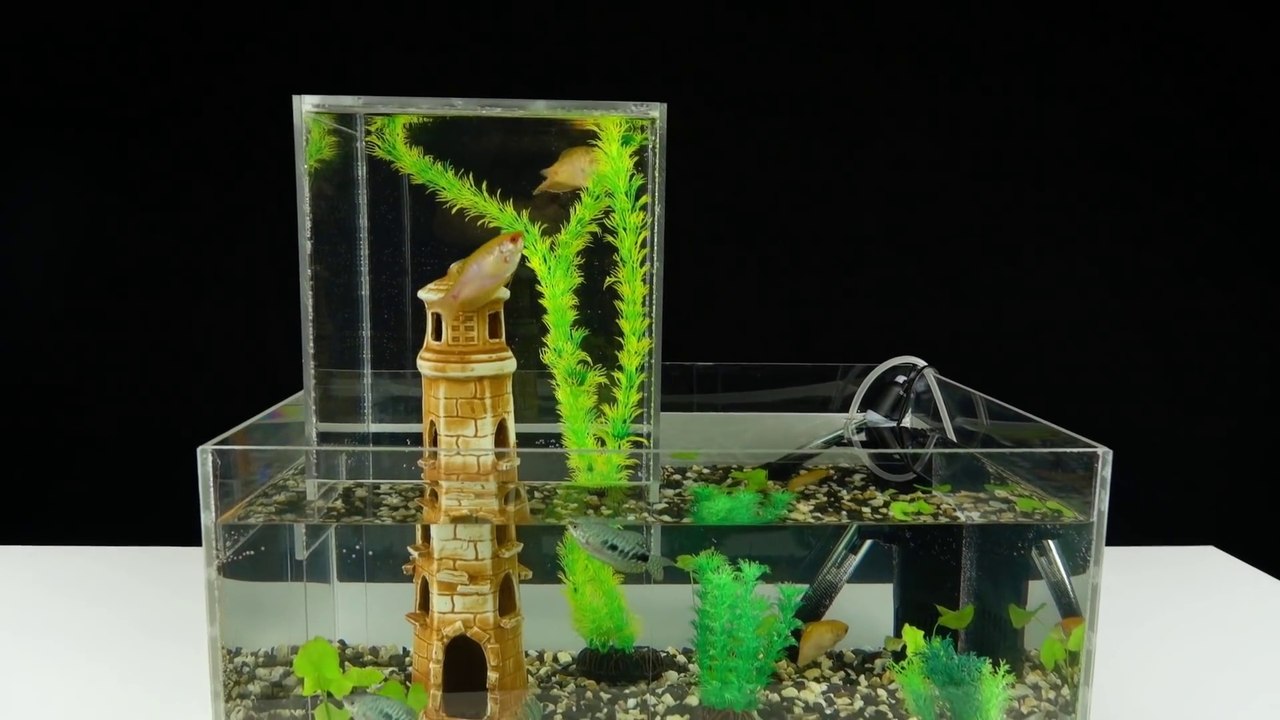 Comment fabriquer un aquarium à 2 étages qui "sort de l'eau"
