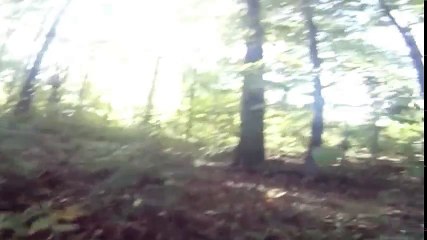 The Final Project 2016 Web Rip   - Part 02