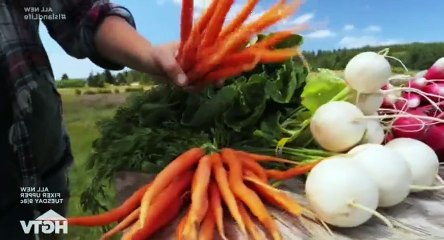 Island Life S12E08 San Diego to Whidbey Island