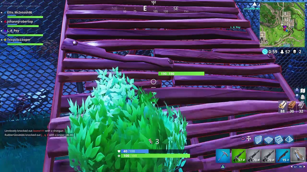 Surprise bush