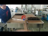 Reliance RGP Bi Direction Conveyor Belt, flow loading table, stainless steel conveyor