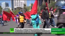 Miles de campesinos protestan por la defensa de sus derechos en México