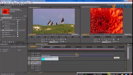 Bài 67-quản lý layer và cắt ghép chỉnh sửa