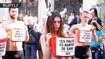 España: Activistas semidesnudos se bañan en 'sangre' en protesta contra la tauromaquia (18 )