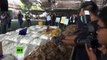 Interceptan tres toneladas de escamas de pangolín en Tailandia