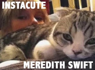 Meredith : Le chat super star de Taylor Swift !