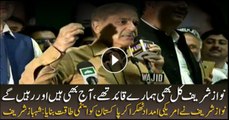 Nawaz Sharif was our leader and will remain so, says Shahbaz Sharif