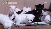 [Haha Land 2] 하하랜드2 -There are big families of siblings 20180411