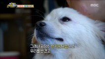 [Haha Land 2] 하하랜드2 -Rescue a dog in a crisis situation 20180411