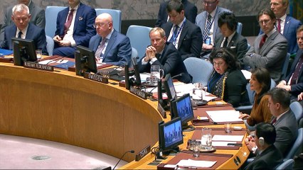 Russia, US in UN council showdown over Syria gas attack