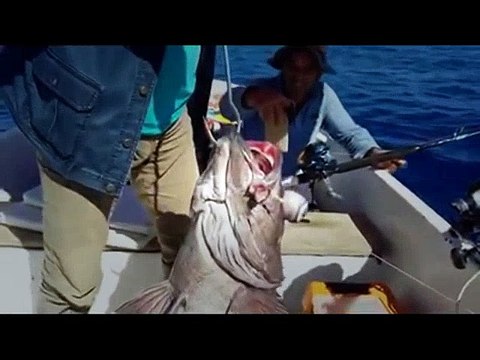 Daiwa Tanacom İş Başında - 750 Metre'de Pertlek Avı - (Bora Kaptan) | Kalkan kardeşler jigging videoları