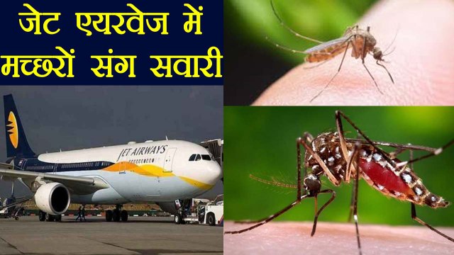 Jet Airways की Flight में Mosquitoes से परेशान Passengers, Video Viral | वनइंडिया हिन्दी