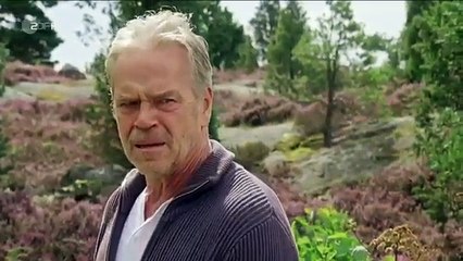Inga Lindström Sommer der Erinnerung Libesfilm DE 2012 part 2/2