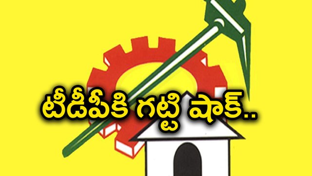 చంద్రబాబు నాయుడు ప్రయత్నాలు ఫలించలేదు...!