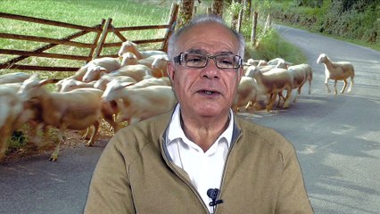 Le sociographe 61. L’engagement : Qu’est-ce que tu fous là ?